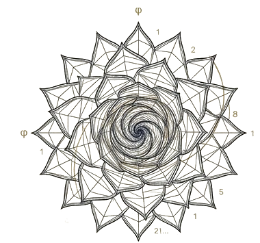 The Unomia agave mark
